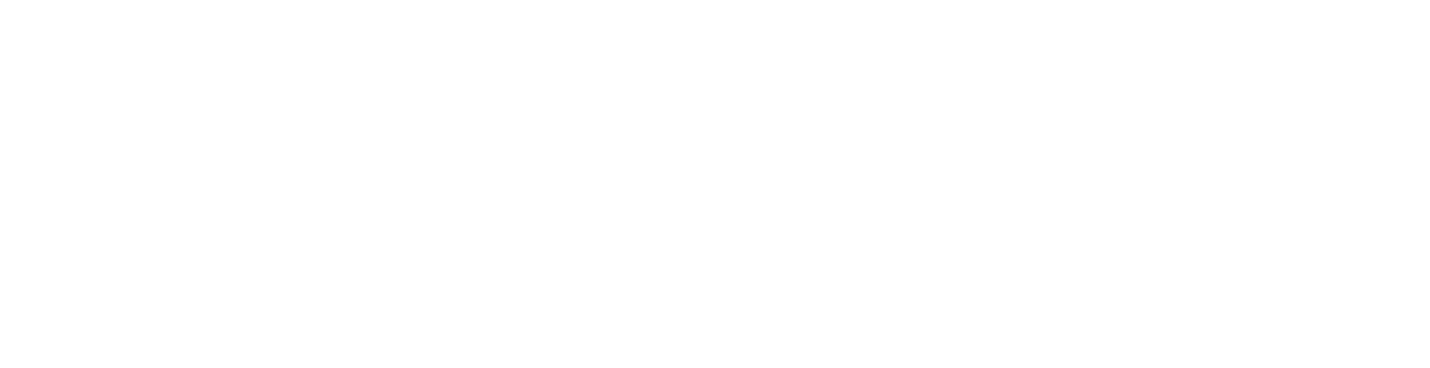 Evoluzione Imprese SRL | Marketing Partner